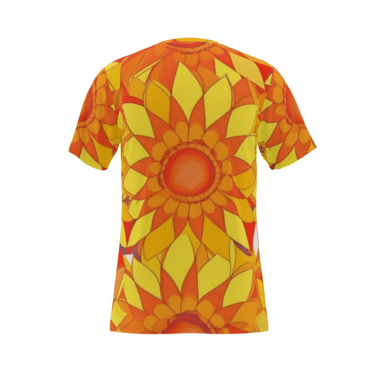 The Resplendent Robe of the Circular Epoch
